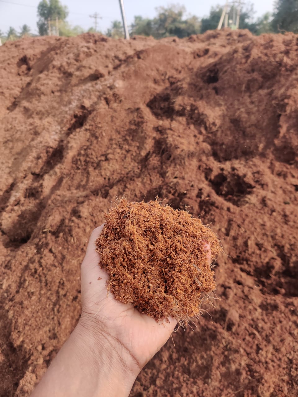 Coco Peat Raw