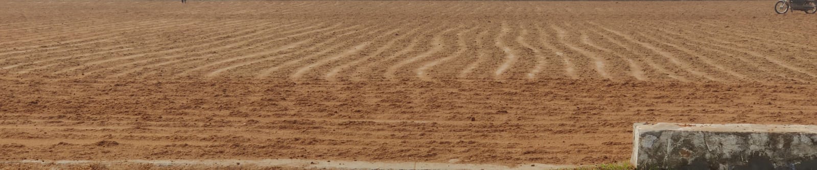 Drying & Grading