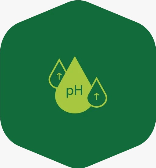 pH