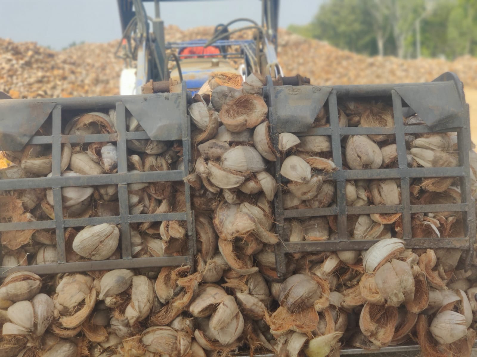 Raw Material Sourcing